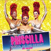 Priscilla Queen of the Desert at Ziff Opera House