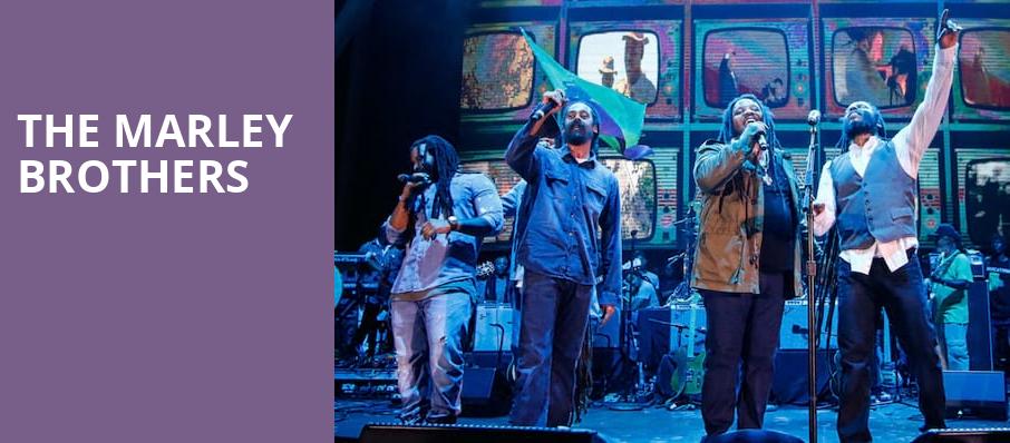 The Marley Brothers, FPL Solar Amphitheater At Bayfront Park, Miami