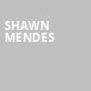 Shawn Mendes, FTX Arena, Miami